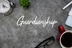 illinois guardianship lawyer